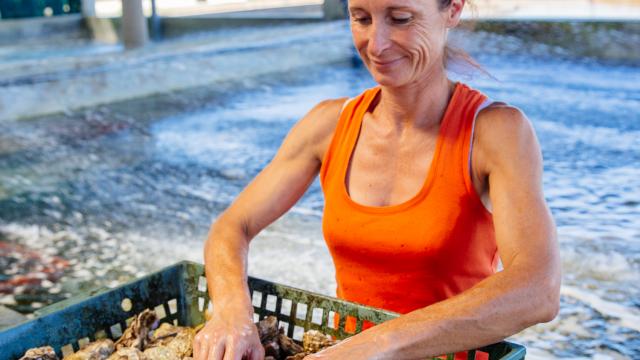 Ostreiculture Chatelaillon Plage Agence Les Conteurs 9