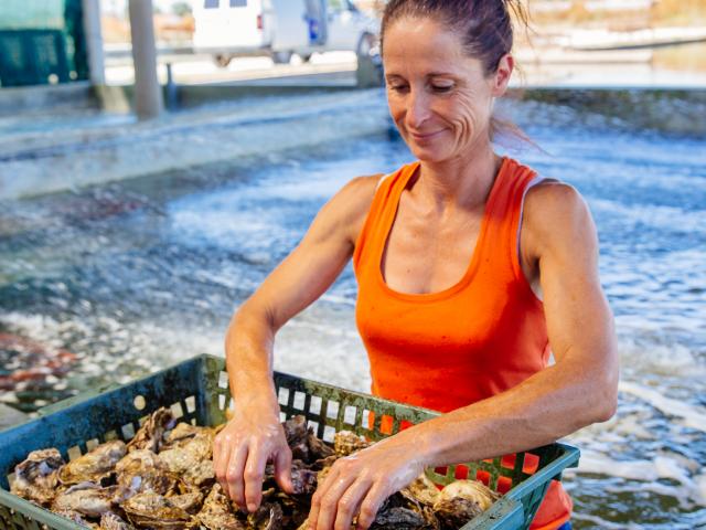 Ostreiculture Chatelaillon Plage Agence Les Conteurs 9