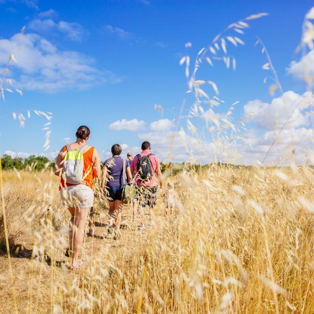 Natuurwandeling