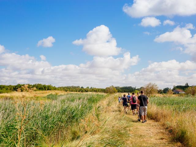 Balade Nature Conteurs