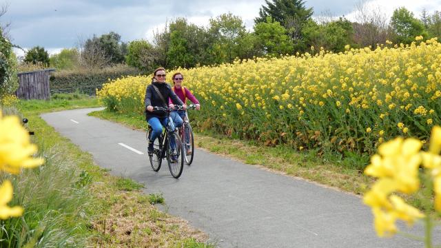 Marais Fietstocht3