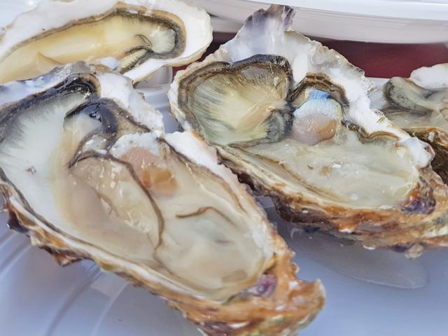 Oesters Chatelaillon