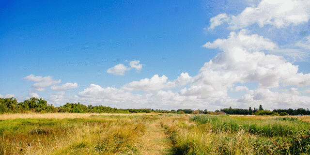 Marais Yves Chatelaillon Co