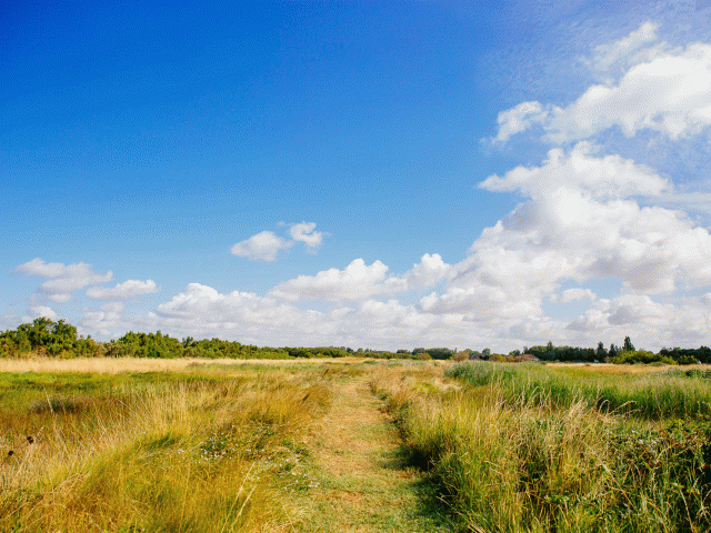 Marais Yves Chatelaillon Co