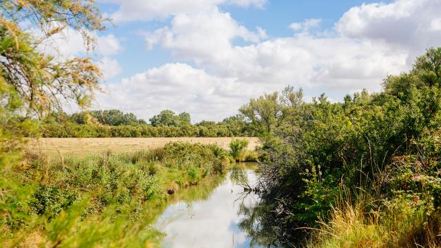 Marais Yves Conteurs