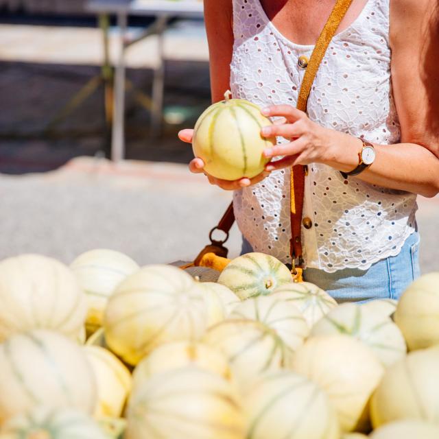 Melon Marche Conteurs