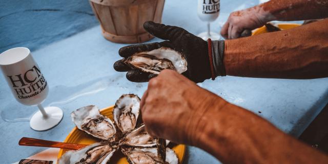 Struisvogelteelt Oester Chatelaillon Boucholerus