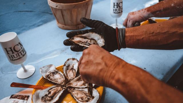 Struisvogelteelt Oester Chatelaillon Boucholerus