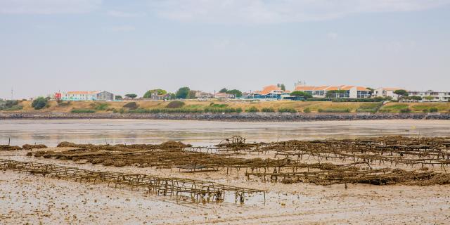 Boucholeurs Oyster Park