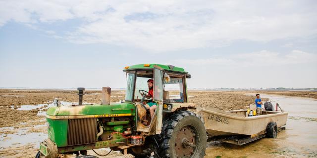 Oyster Park Tractor Tale