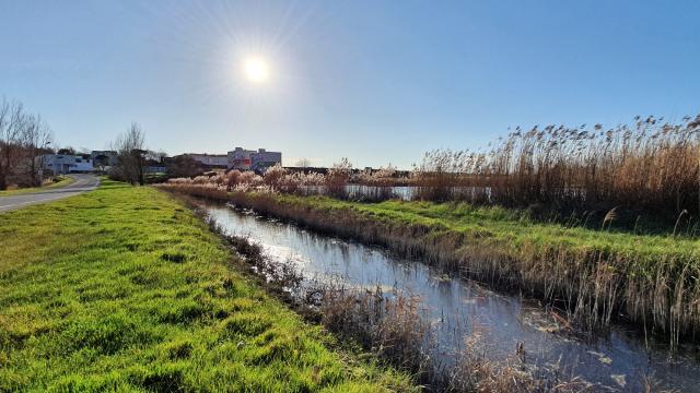 marais-chatelaillon-sunset.jpg