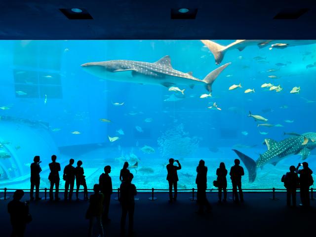 La Rochelle Aquarium