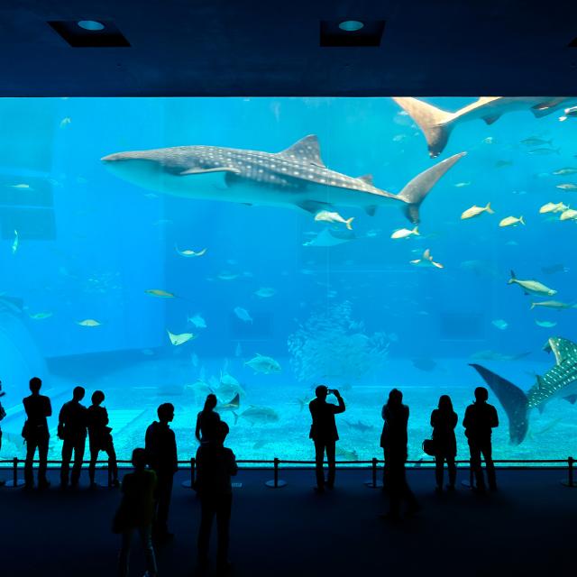 aquarium2.jpg