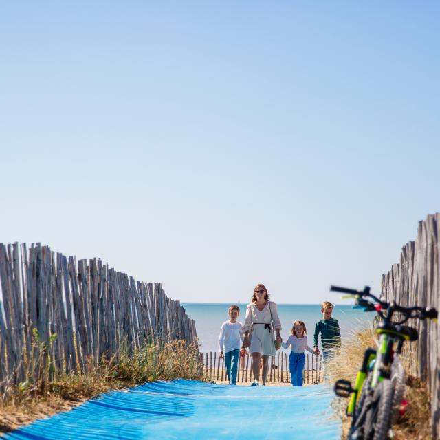 Bandeau Famille Dunes